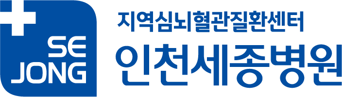 인천세종